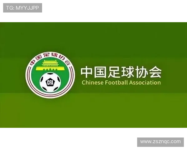 中国足球冲击世界杯新征程 重振雄风从青训到国家队全面布局